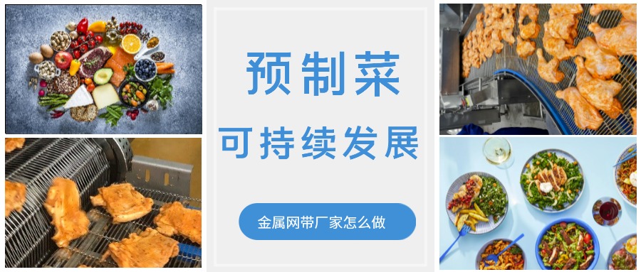 金屬輸送網(wǎng)帶的領(lǐng)頭企業(yè)，預(yù)制菜的可持續(xù)發(fā)展中能做什么？