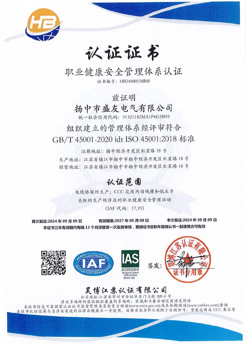 揚(yáng)中市盛友電氣有限公司   QES  初審-5.jpg